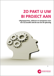 BI project